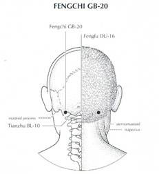 The Fengchi Point: For Tension Headache