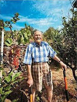 Stamatis was still alive and actively tending to his olive trees on Ikaria